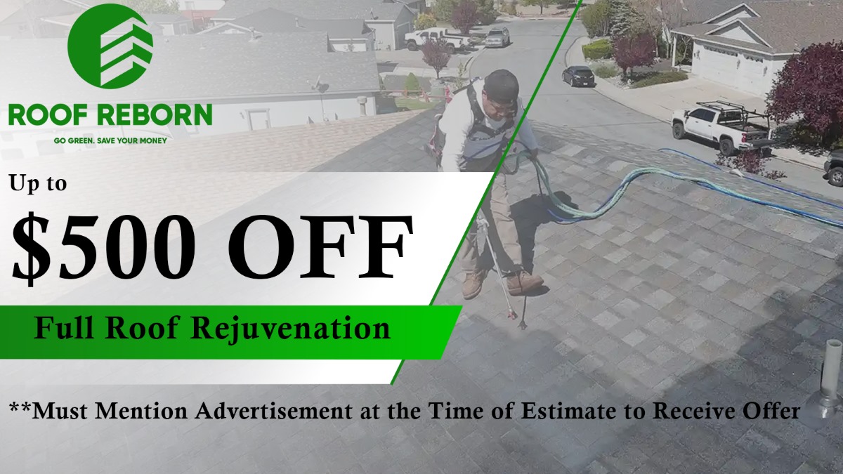 Roof Reborn logo